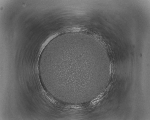 X0000085060147200703121534