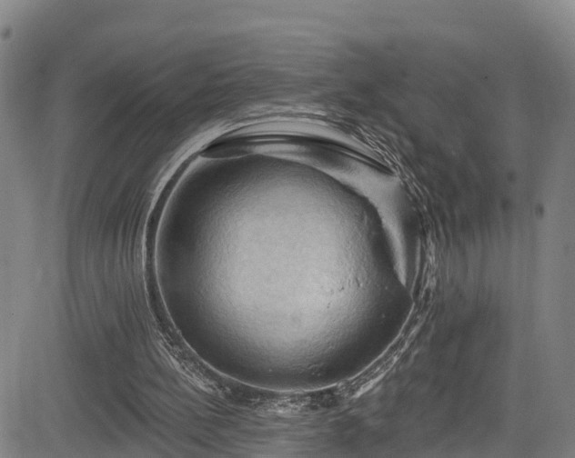 X0000085060148200703121534