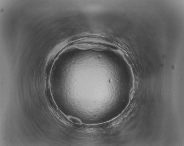 X0000085060149200703121534