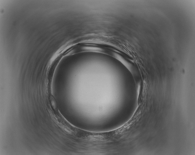 X0000085060150200703121534