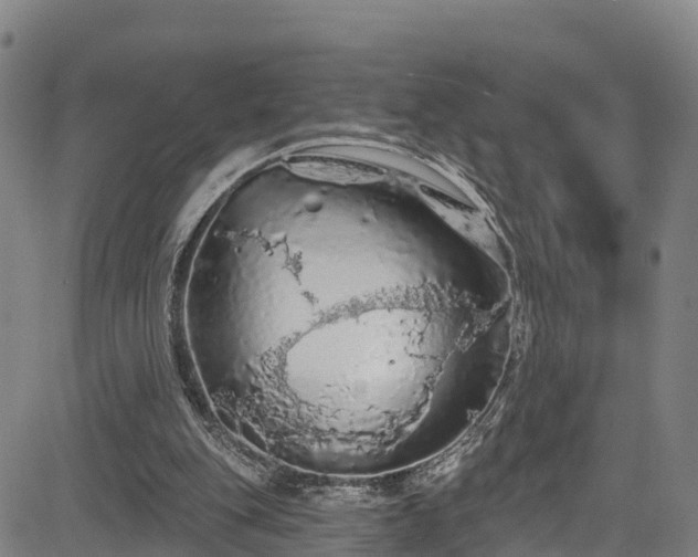 X0000085060151200703121534