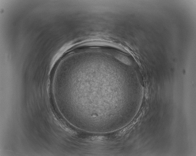 X0000085060152200703121534