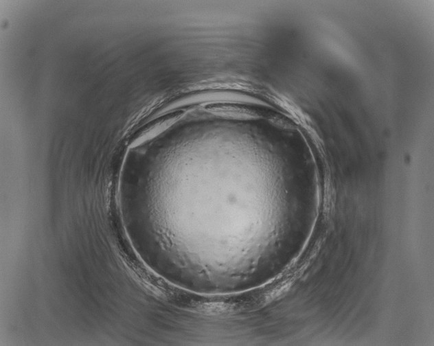 X0000085060153200703121534