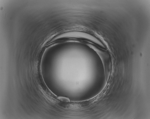 X0000085060154200703121534