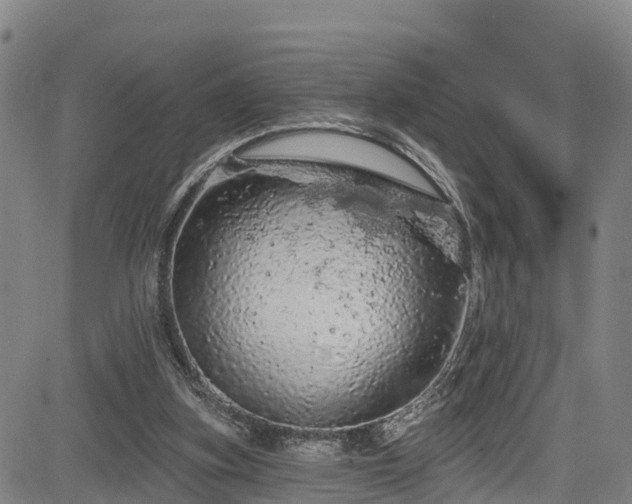 X0000085060155200703121534