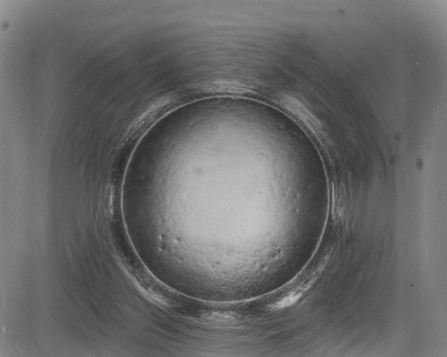 X0000085060157200703121534