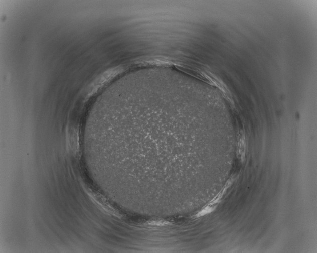 X0000085060158200703121534