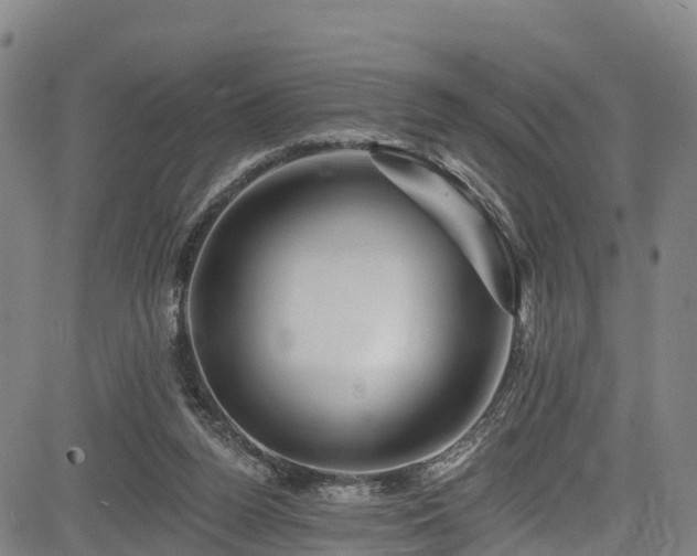 X0000085060160200703121534