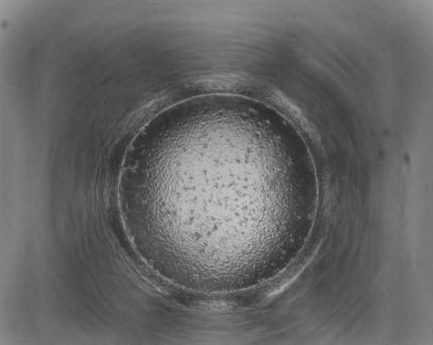 X0000085060161200703121534