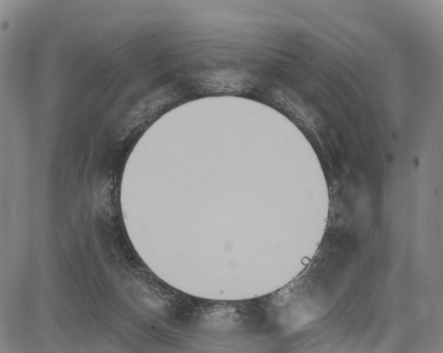 X0000085060162200703121534