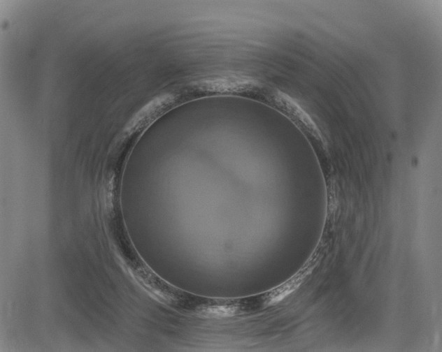 X0000085060163200703121534