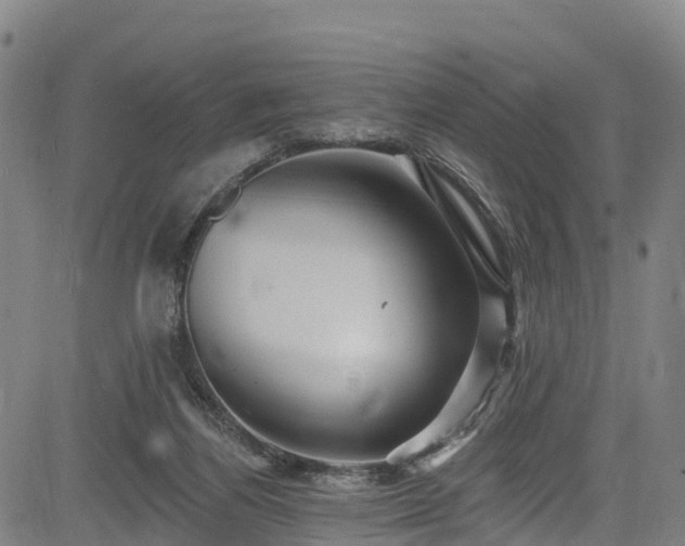 X0000085060164200703121534