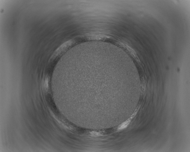 X0000085060166200703121534