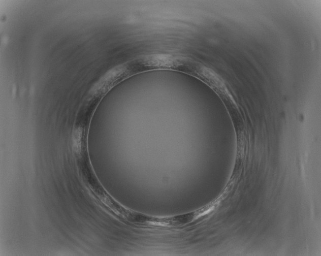 X0000085060167200703121534