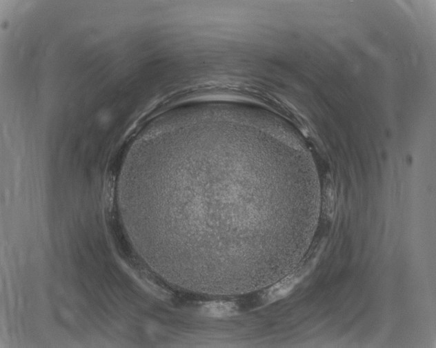 X0000085060168200703121534