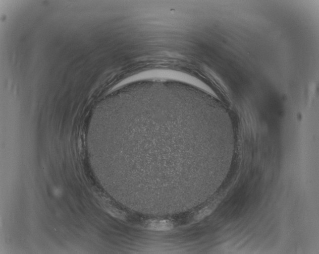 X0000085060169200703121534