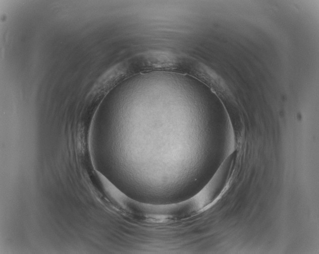 X0000085060170200703121534