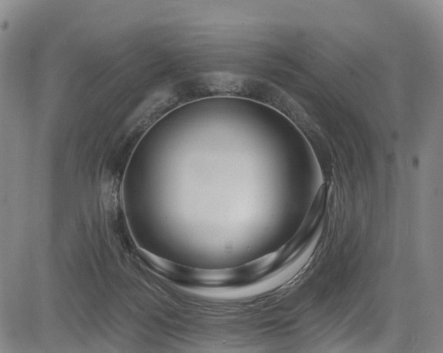 X0000085060172200703121534