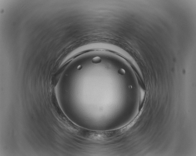 X0000085060174200703121534