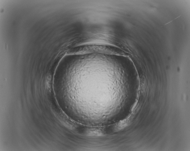 X0000085060175200703121534