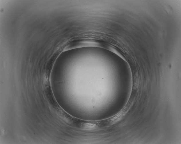 X0000085060176200703121534