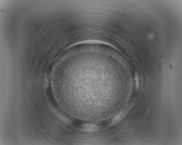 X0000085060180200703121534