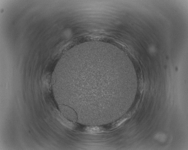 X0000085060181200703121534