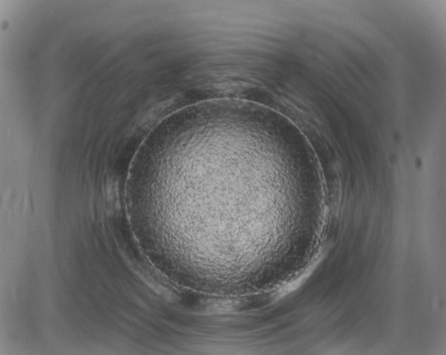 X0000085060182200703121534