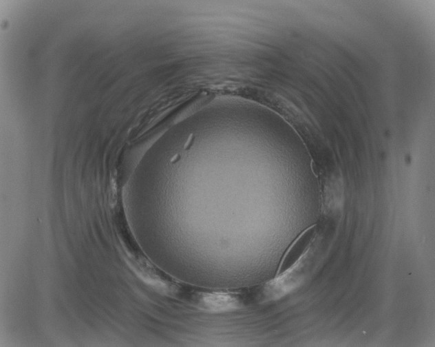 X0000085060183200703121534