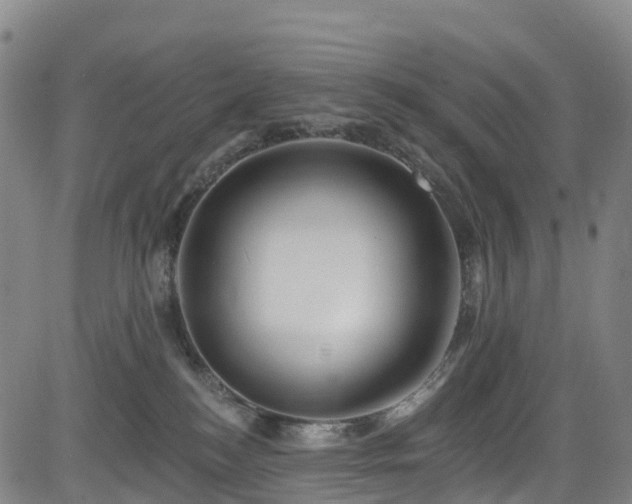 X0000085060184200703121534