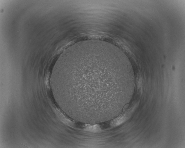 X0000085060185200703121534