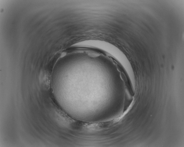 X0000085060186200703121534