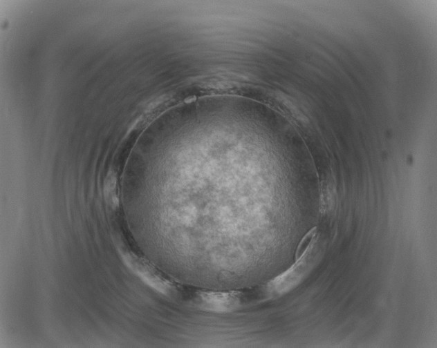 X0000085060187200703121534