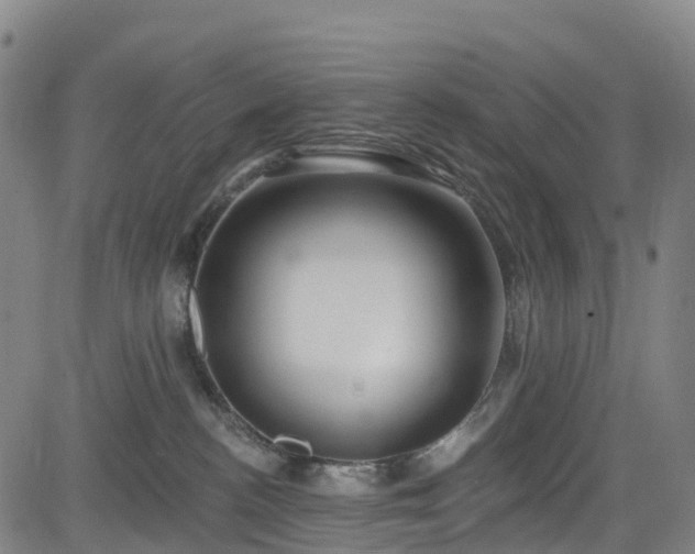 X0000085060188200703121534