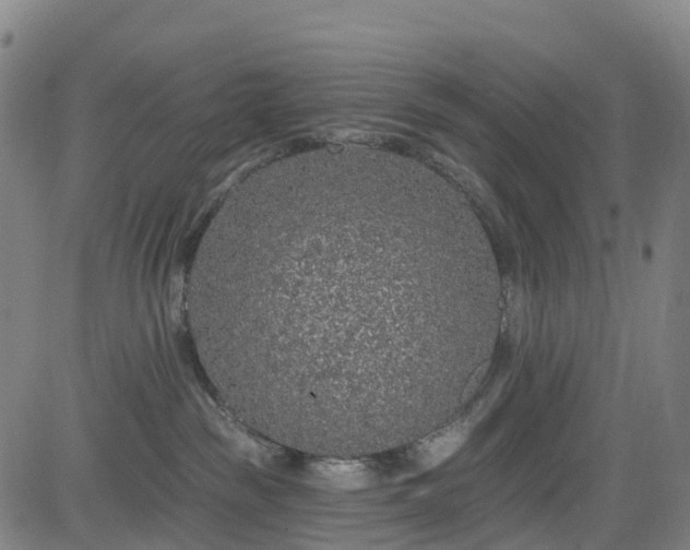 X0000085060189200703121534