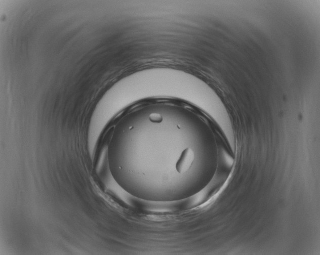 X0000085060190200703121534