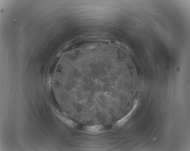 X0000085060191200703121534