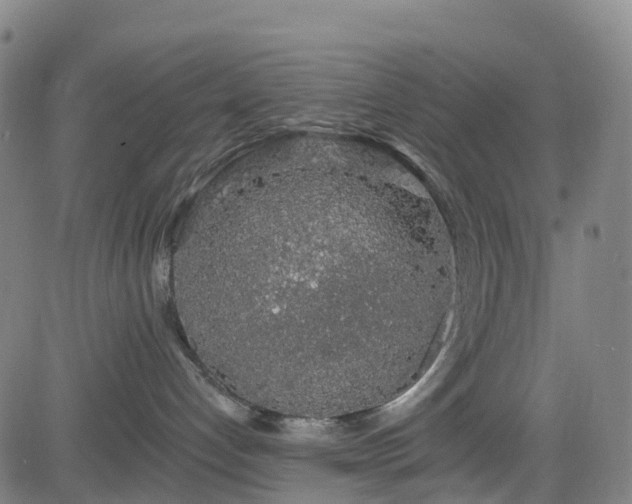 X0000085060192200703121534