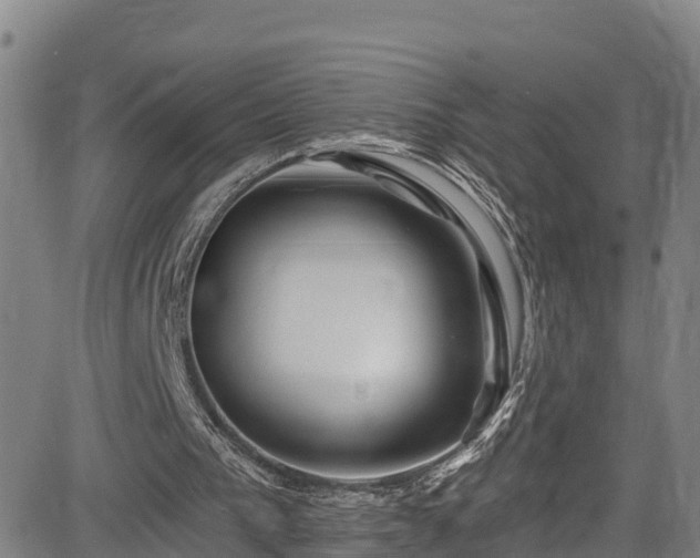 X0000085060193200703121534