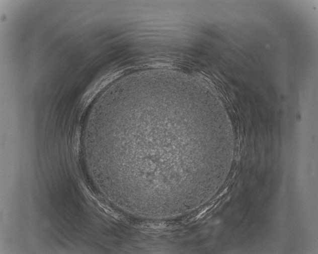 X0000085060194200703121534