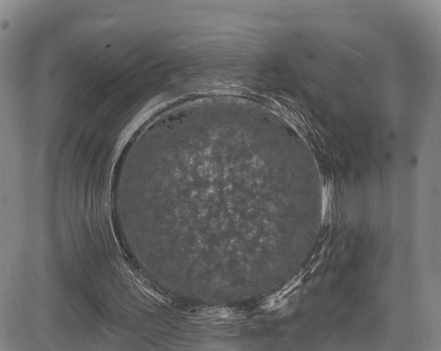 X0000085060195200703121534