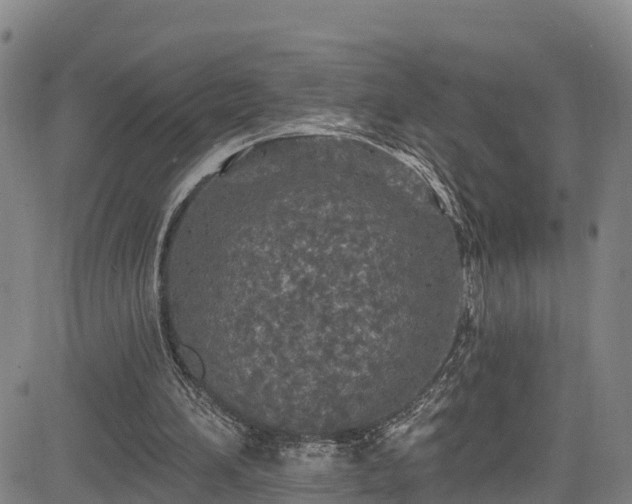 X0000085060196200703121534