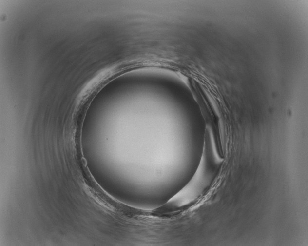 X0000085060197200703121534