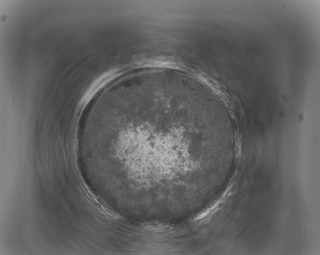 X0000085060199200703121533