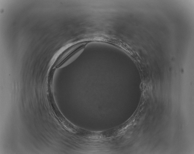 X0000085060200200703121533