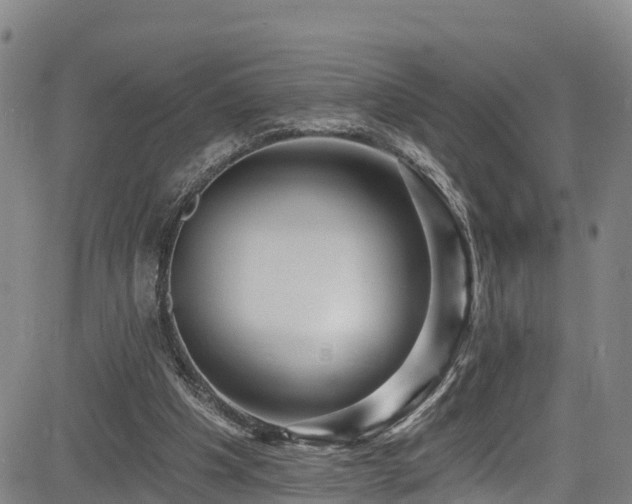 X0000085060201200703121533