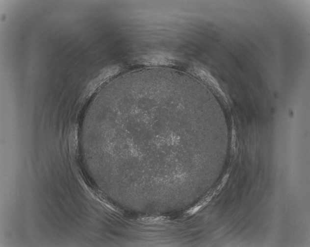 X0000085060202200703121533