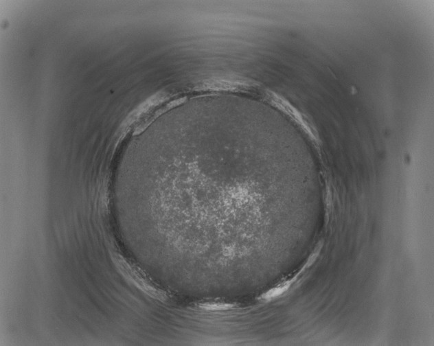 X0000085060203200703121533