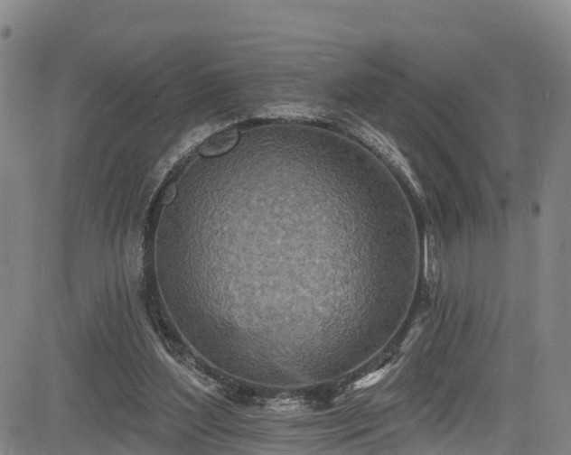 X0000085060204200703121533