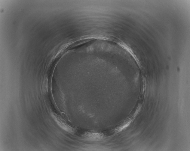 X0000085060205200703121533